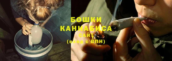 гидропоника Бородино