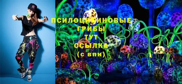 гидропоника Бородино