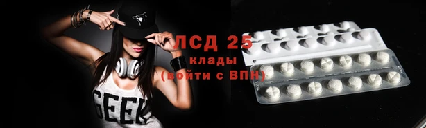 гидропоника Бородино