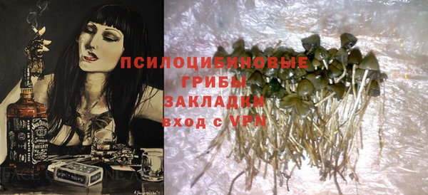герыч Бронницы