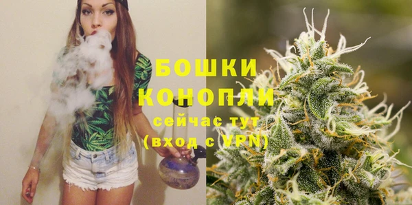 гидропоника Бородино