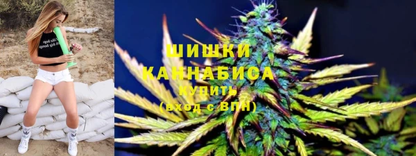 гидропоника Бородино